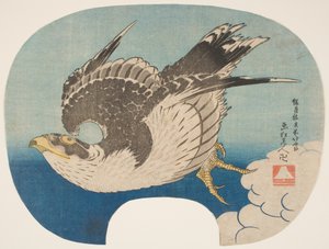 Ein Falke im Flug, ca. 1840