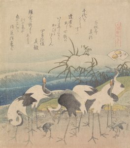 Ashi-Muschel, aus der Serie Genroku Kasen Kai-awase, 1821