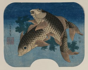 Karpfen schwimmen bei Wasserpflanzen von Katsushika Hokusai