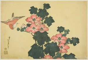 Baumwollrosen und Spatz, aus einer unbetitelten Serie großer Blumen von Katsushika Hokusai