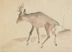 Hirsch, spätes 18. bis frühes 19. Jahrhundert von Katsushika Hokusai