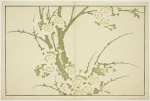 Blumen, aus Das Bilderbuch der realistischen Gemälde von Hokusai (Hokusai shashin gafu), ca. 1814