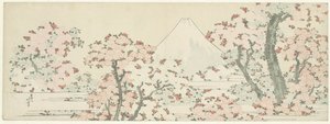 Fuji über Kirschblüten, ca. 1800-1805 von Katsushika Hokusai