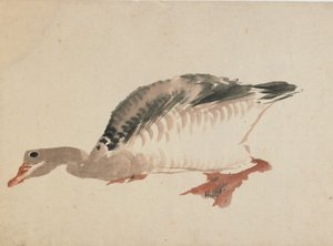 Gans