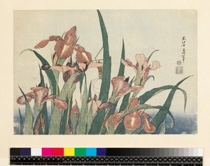 Schwertlilien und Heuschrecke, veröffentlicht von Nishimura Eijudo, ca. 1832 (yoko-e - horizontales Format, Farbholzschnitt)