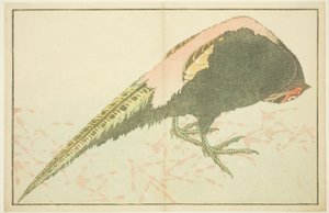 Männlicher Fasan, aus Das Bilderbuch der realistischen Malereien von Hokusai