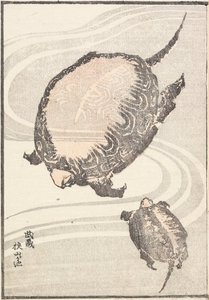 Sayama-ga-ike Teich in der Provinz Musashi von Katsushika Hokusai