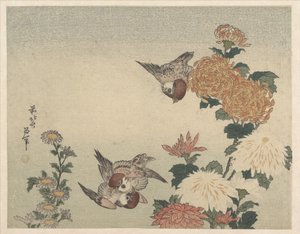 Spatzen und Chrysanthemen von Katsushika Hokusai