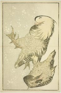 Zwei Wasservögel, aus dem Bilderbuch der realistischen Malereien von Hokusai (Hokusai shashin gafu) von Katsushika Hokusai