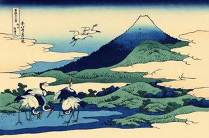 Umegawa in der Provinz Sagami, ca. 1830 (Holzschnitt)