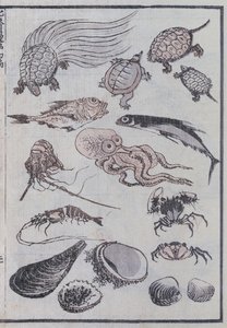 Unterwasserwesen, aus einem Manga von Katsushika Hokusai