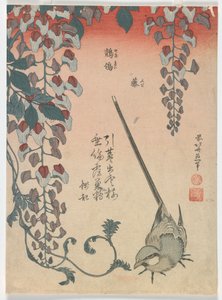 Bachstelze und Glyzinie, Edo-Periode, 1834