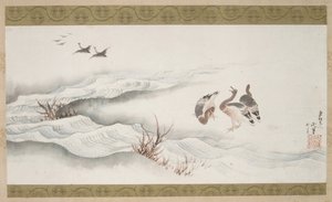 Wildgänse und Wasser