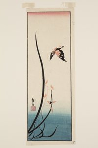 Schmetterling und Gras von Katsushika II (fl.1820 50) Taito
