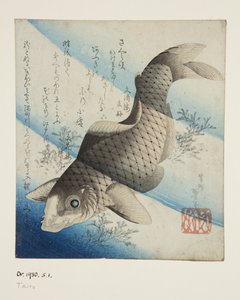 Karpfen im Wasser von Katsushika II (fl.1820 50) Taito