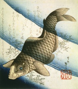 Ein Karpfen schwimmt zwischen Wasserpflanzen, ca. 1832