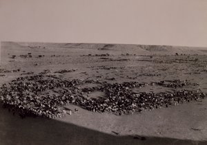 Vorwärts nach Brak, Italienisch-Türkischer Krieg, Libyen 20. Jahrhundert von Alec Hunter