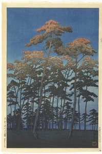 Hikawa-Park in Omiya von Kawase Hasui