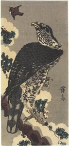 Adler und Spatz