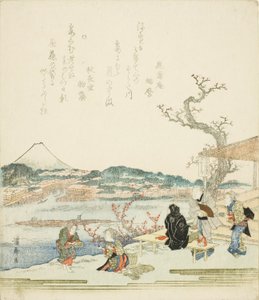 Blick auf den Berg Fuji von einem Teehaus