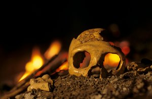 DOH; Neandertaler 130.000 Jahre alt, Schädel einer Frau, Krapina 3, Krapina-Höhle, Balkan