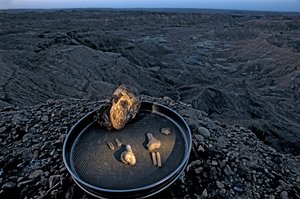 Lucys Kind, Zeray Alemseged, Australopithecus Afarensis, Äthiopien, Paläontologe von Kenneth Garrett