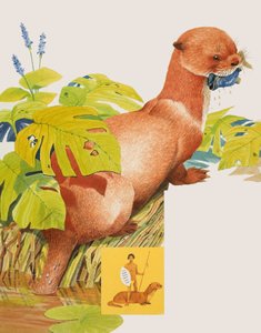 Der Saro
