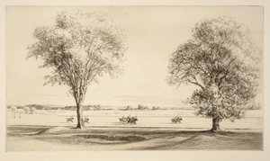 Polo von Kerr Eby