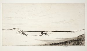 Sand und Meer, Cape Cod