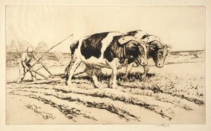Frühjahrspflügen von Kerr Eby
