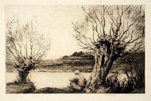 Die Weiden von Kerr Eby
