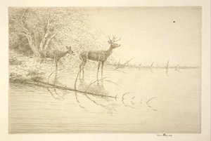  von Kerr Eby