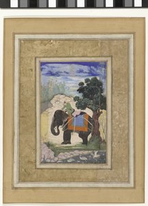 Elefant und Reiter