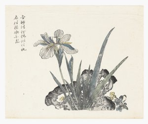 Mustard Seed Garden von Ki Chang