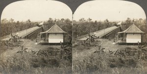 Gruppe von 14 Stereographien von Afrika und Schauspielern