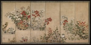 Blumen und Gräser