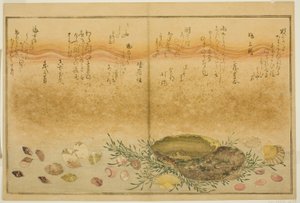 Chidori-gai, itaya-gai, awabi, utsuse-gai, asari-gai und monoara-gai, aus dem illustrierten Buch "Geschenke von der Ebbe (Shiohi no tsuto)"
