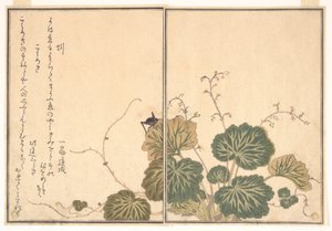 Regenwurm (Mimizu); Grille (Kōrogi), aus dem Bilderbuch der kriechenden Tiere (Ehon mushi erami) von Kitagawa Utamaro