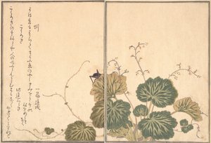 Regenwurm Mimizu, Grille Korogi..., 1788