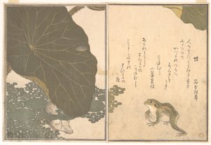 Frosch (Kaeru); Goldkäfer (Kogane mushi), aus dem Bilderbuch der kriechenden Tiere (Ehon mushi erami) von Kitagawa Utamaro