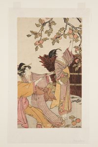 Kaki sammeln von Kitagawa Utamaro