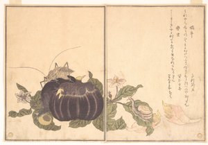 Landschnecke (Katatsumuri); Riesen-Laubheuschrecke (Kutsuwamushi), aus dem Bilderbuch der kriechenden Geschöpfe (Ehon mushi erami) von Kitagawa Utamaro