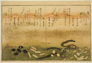 Minashi-gai, shio-gai, katatsu-gai, miso-gai, chijimi-gai und chigusa-gai, aus dem illustrierten Buch "Geschenke der Ebbe (Shiohi no tsuto)"