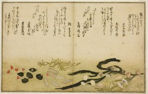 Minashi-gai, shio-gai, katatsu-gai, miso-gai, chijimi-gai und chigusa-gai, aus dem illustrierten Buch "Geschenke von der Ebbe (Shiohi no tsuto)"