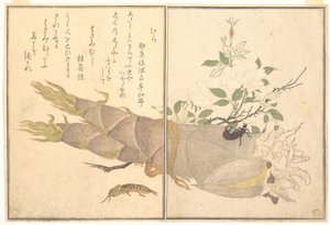Maulwurfsgrille (Kera); Ohrwurm (Hasami-mushi), aus dem Bilderbuch der kriechenden Kreaturen (Ehon mushi erami)