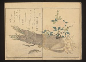Maulwurfsgrille und Ohrwurm auf Bambusspross von Kitagawa Utamaro