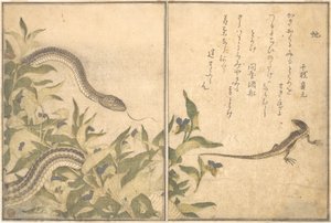 Rattenschlange (Hebi); Eidechse oder Skink (Tokage), aus dem Bilderbuch der kriechenden Tiere (Ehon mushi erami) von Kitagawa Utamaro
