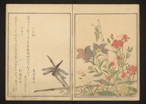Rote Libelle und Heuschrecke bei Nelken von Kitagawa Utamaro