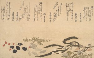Muscheln unter Wasser, 1790