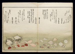 Shiohi no tsuto (Geschenke von der Ebbe), bekannt als das Muschelbuch, 1789